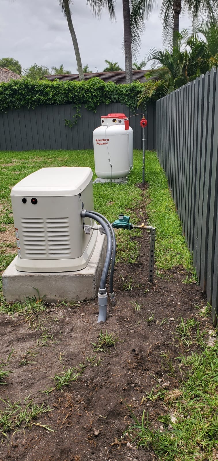 Residential standby generator with a propane tank and visible fuel connections.